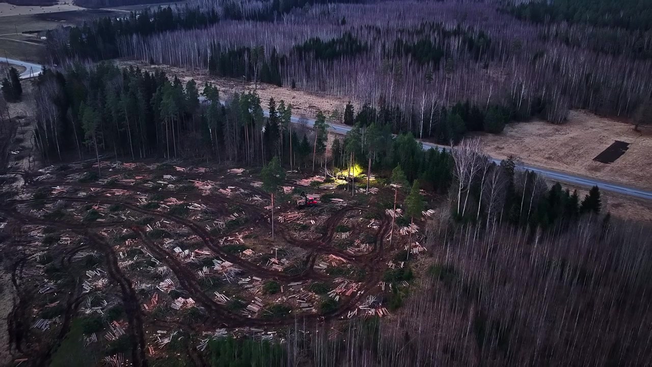 Avverkningsarbete i en skogsglänta med tunga maskiner i skymningen, fågelperspektiv