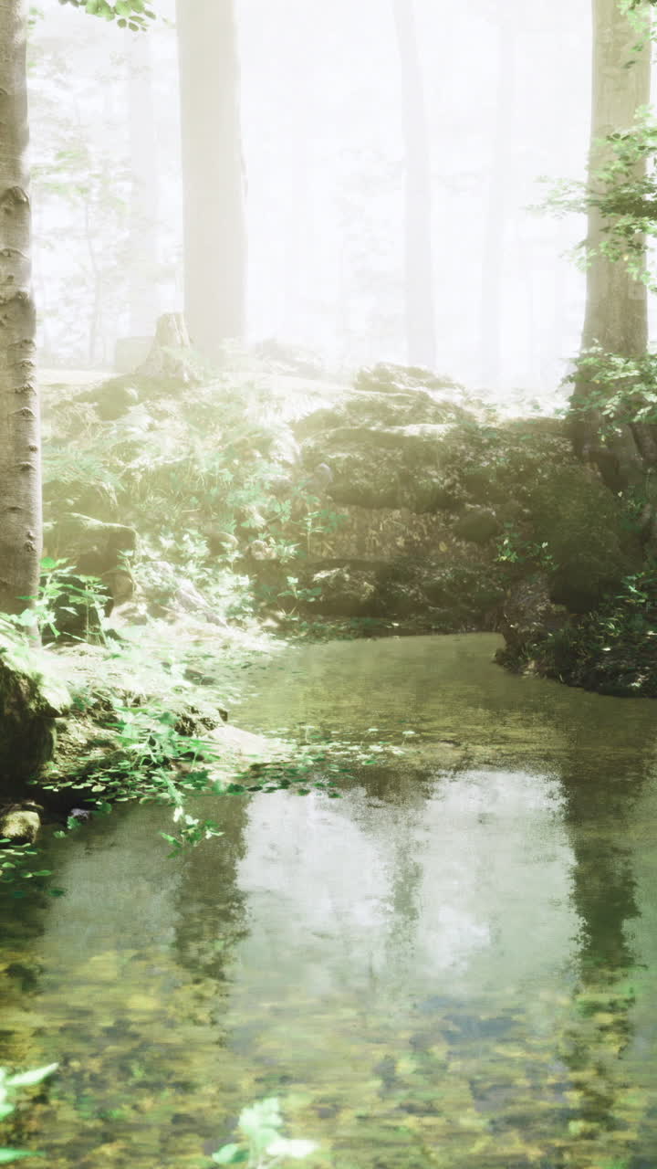 Serene forest landscape with calm water and sunlight filtering through trees