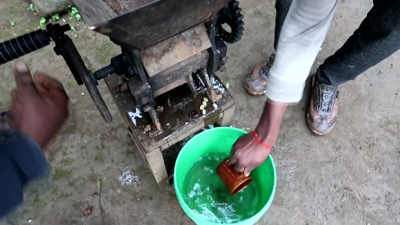 아프리카 chagga 사람들은 기초적인 기계를 사용하여 좋은 커피 원두와 나쁜 원두를 수동으로 분리합니다.