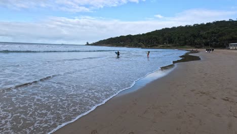 people walking on a scenic beach