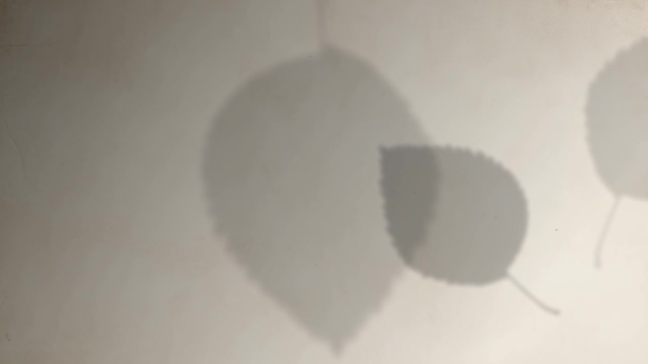 Abstract Three Leaf Shadows Moving on Aged Paper Background, Minimalist Botanical Animation