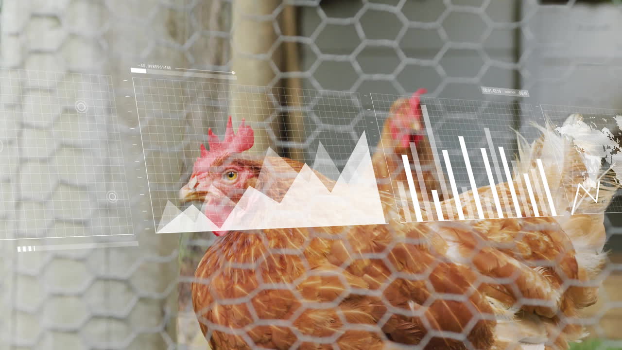 Brown hen peering behind hexagonal wire mesh fence, showing line graph and bar chart data overlays