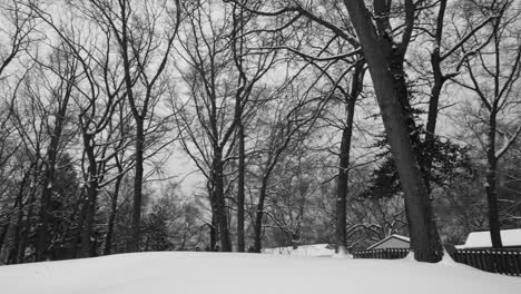 Panning-over-the-landscape-covered-in-soft-snow