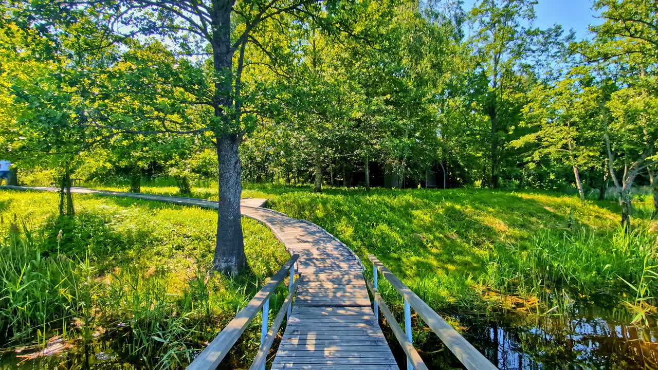 Walking slowly in sunshine along a wooden bridge and path surrounded by lush green nature