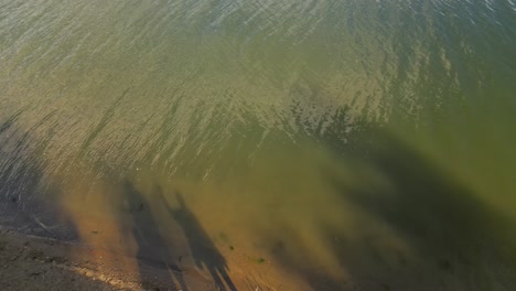 overhead drone view of green reservoir lake water rippling with shadows of people family moving dog running around on beach shoreline