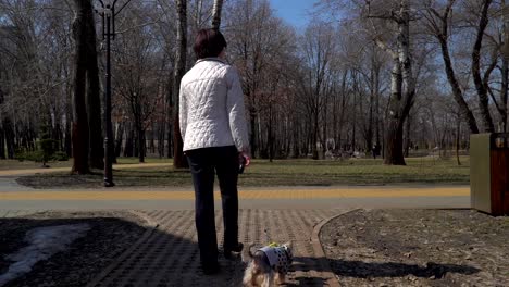 old woman walk in park with little dog