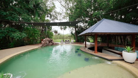 tropical residential backyard with curved pool and bar area, wide angle