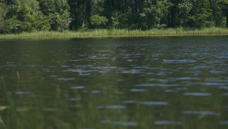 Sunlight-reflects-on-waters-of-tree-lined-lake