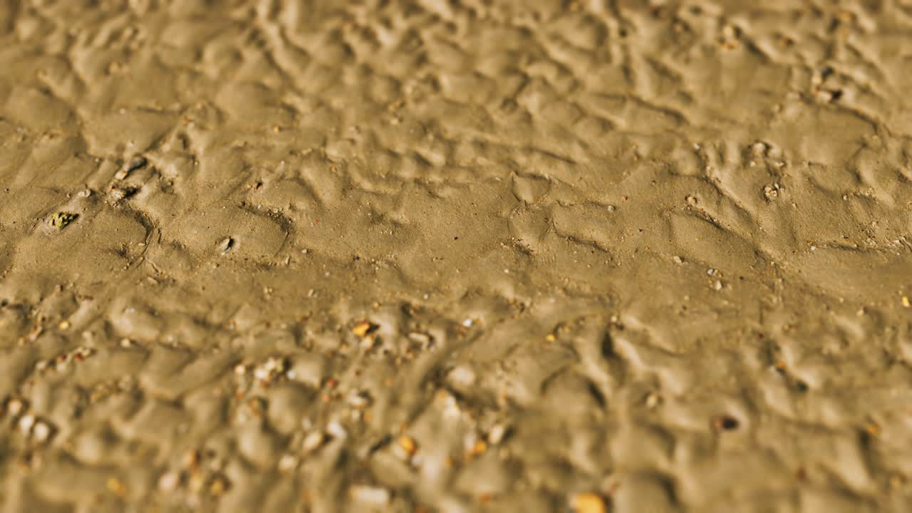 해변의 모래에 있는 선들