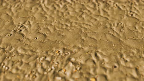 lines in the sand of a beach