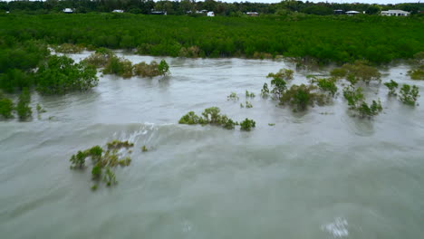 Luftdrohne-Mit-Pulsierendem-Meereswellenwasser,-Das-Sich-Unter-Dichtem-Mangrovendickicht-Ausbreitet