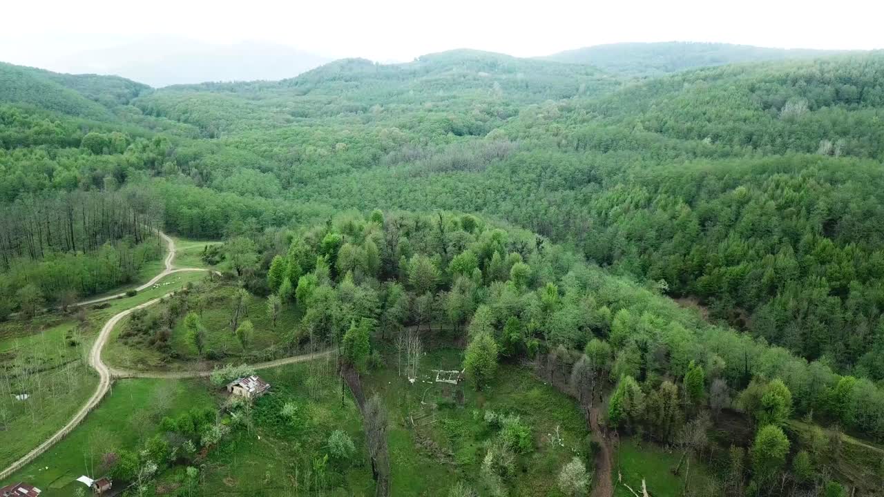 Old forest landing in beautiful scenic nature of Iran Arabian people love to travel trip to wild nature with wide view of Mazandaran Gilan nature to hiking tourism activity outdoor plan local food