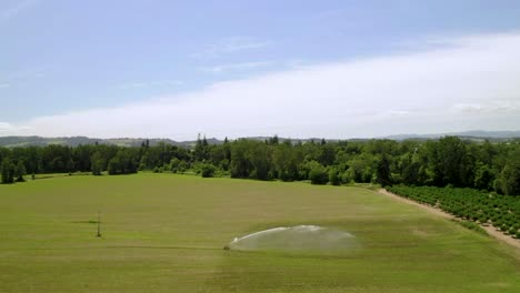 Irrigation-Sprinkler-Spraying-Water-On-Growing-Crops-At-The-Field