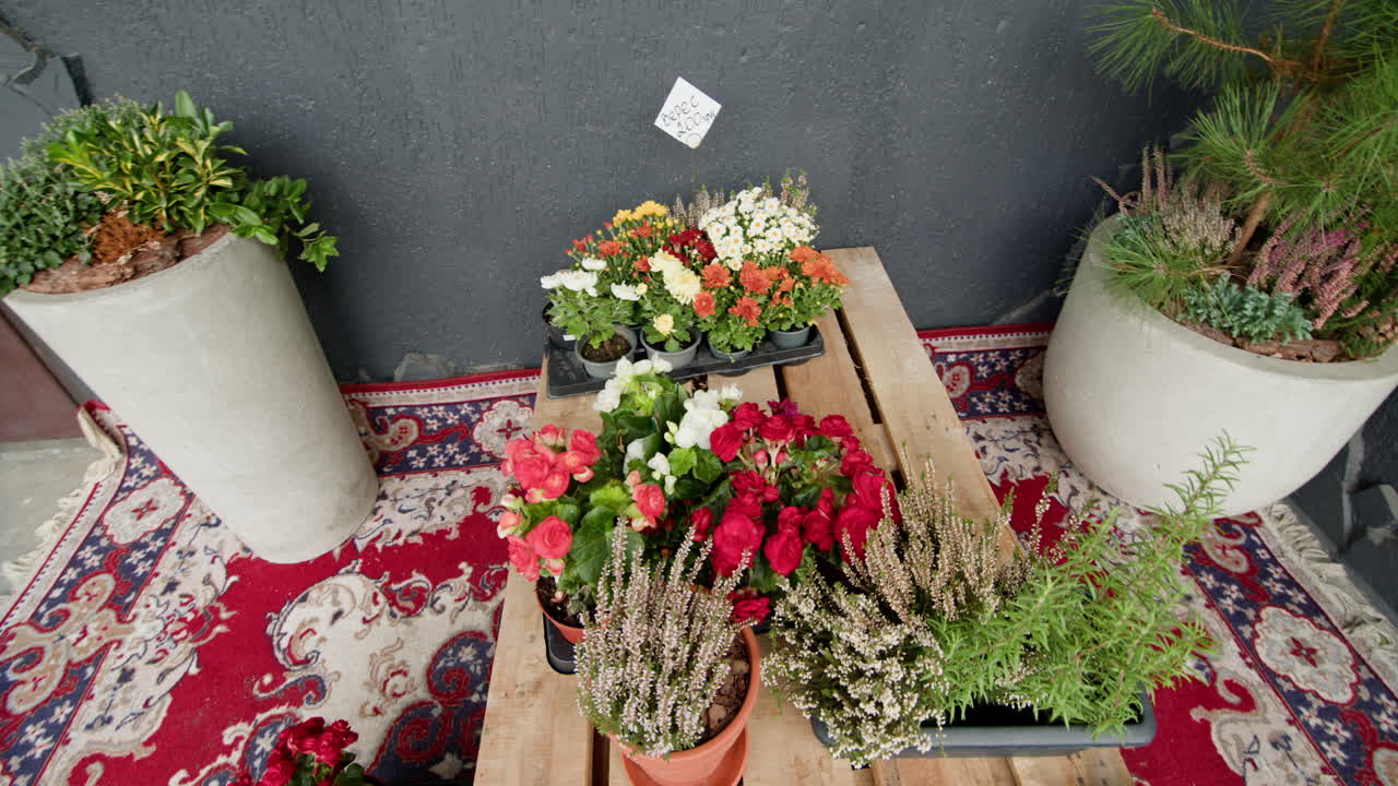 판매를 위한 다양한 꽃과 식물