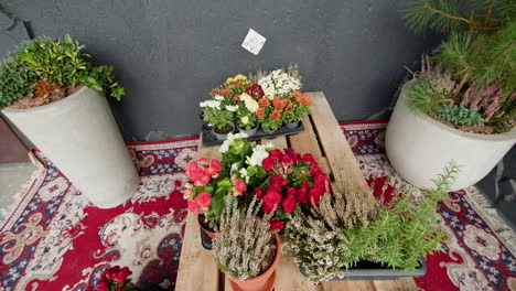 variedad de flores y plantas para la venta