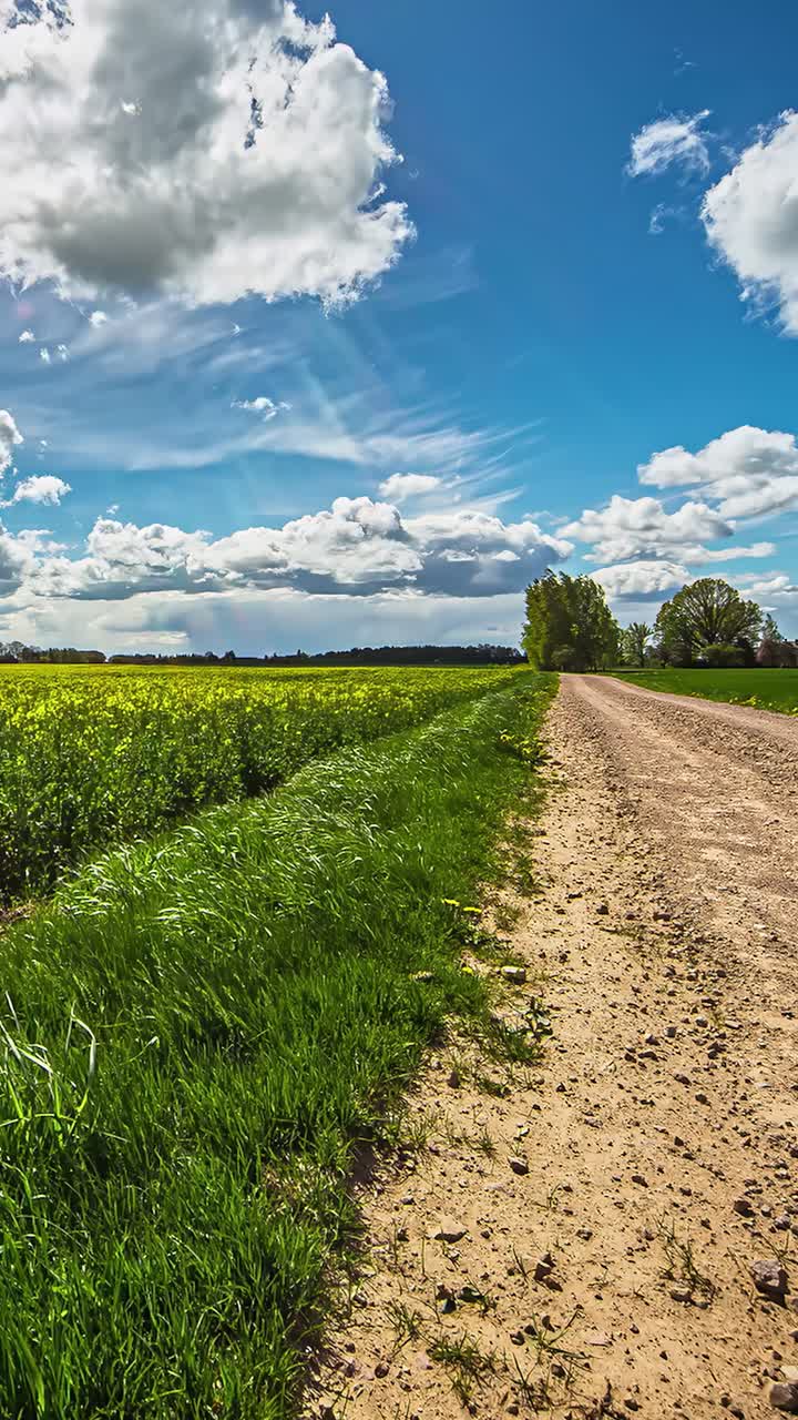 Vídeo time-lapse vertical de campos verdes con un camino de tierra recto y nubes moviéndose rápidamente por encima.