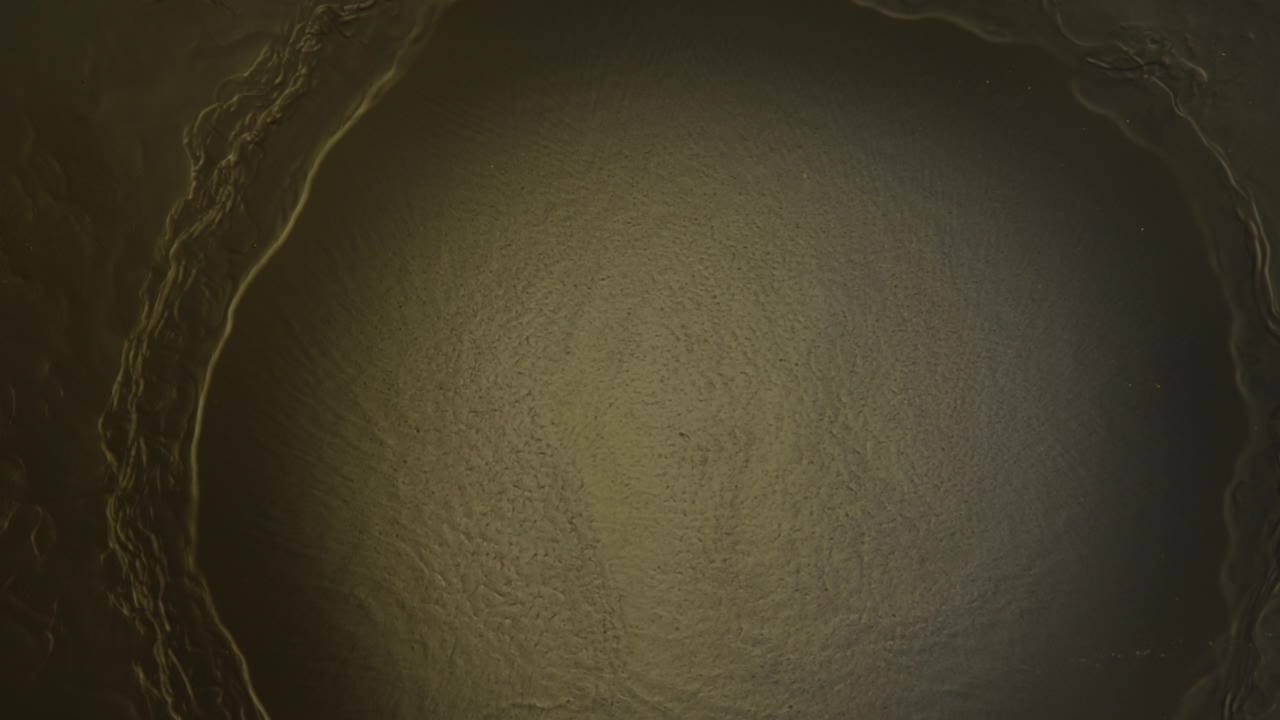 ¿te imaginas mi emoción al ver que esto sucede y luego poder filmarlo?