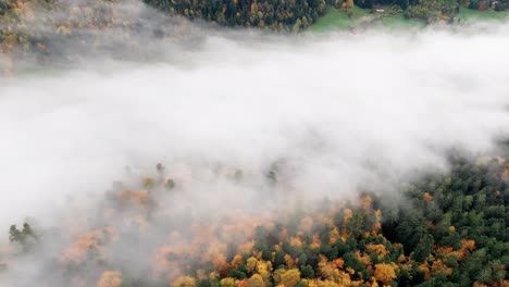 aerial view over vibrant automnal mountain forest with a sea of clouds, 4k