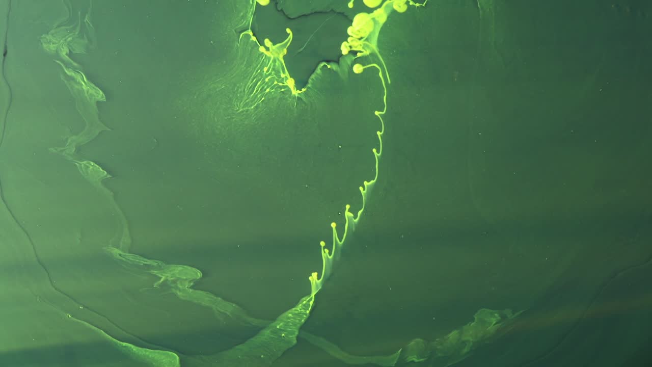 그것은 고요하고 사랑스럽게 시작되었고, 그 다음에는 정말 흥미로워졌습니다. 많은 일이 진행되고 있습니다. 제가 할 수 있는 모든 것은 응시하고 입을 벌리는 것이었습니다. 자세한 내용은 인용 부호를 사용하여 "abstractvideoclip"을 검색하십시오.