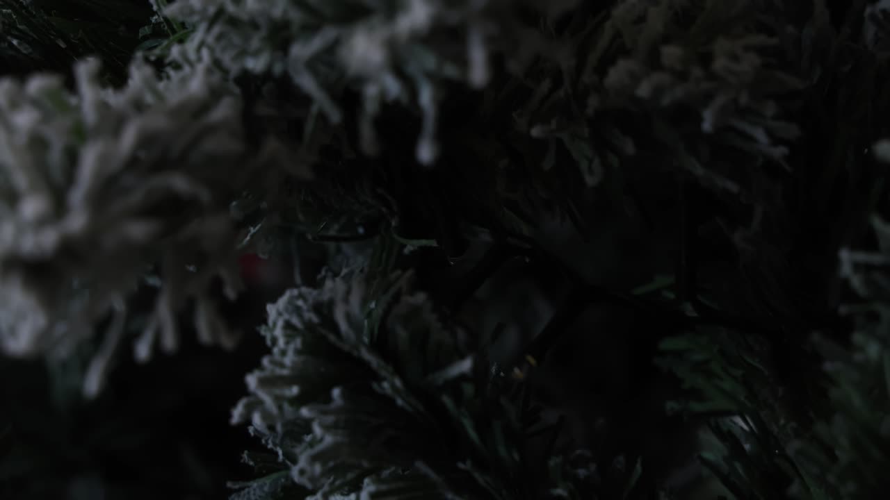 Blinking fairy lights on a christmas tree, fast switching