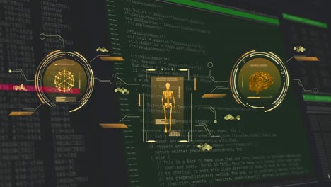 animación del procesamiento de datos sobre el esqueleto y el cerebro
