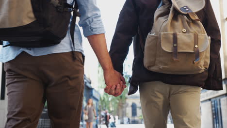 vista trasera de una pareja homosexual amorosa cogida de las manos caminando por la calle de la ciudad