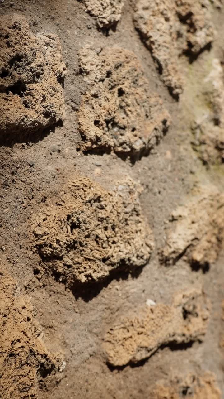 Vertikalt makrobillede af porøs gammel Pompeji vægtekstur, der fremhæver forvitret vulkansk puds, ru erosion og arkæologisk overfladedetalje i varmt dagslys.