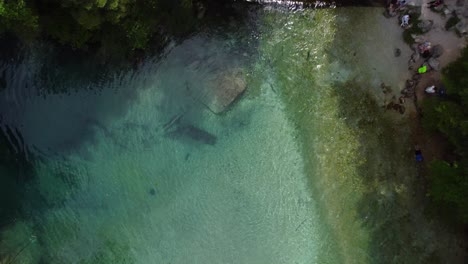 A-mesmerizing-bird's-eye-view-of-the-crystal-clear-Kamniška-Bistrica-river-spring,-surrounded-by-lush-greenery,-mossy-rocks,-and-serene-woodland-in-Kamnik,-Slovenia