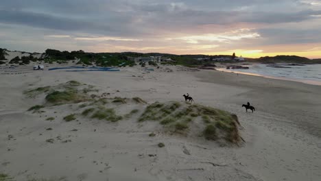 two horses riding along the beach at the sand dunes near port stephens, australia