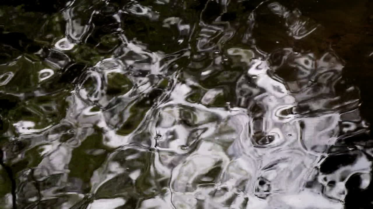 Reflections in flowing creek water