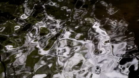 Reflejos-En-El-Agua-Del-Arroyo-Que-Fluye