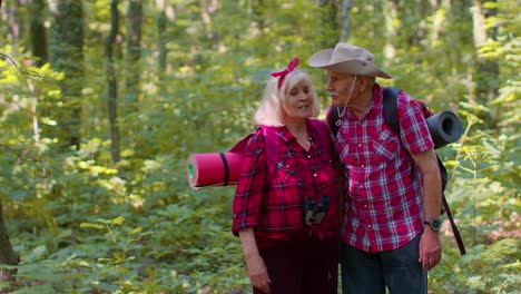 senior old grandmother grandfather tourists enjoying walking, hiking with backpacks in summer wood