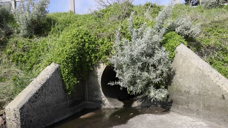 sewage drain surrounded by plants and sand