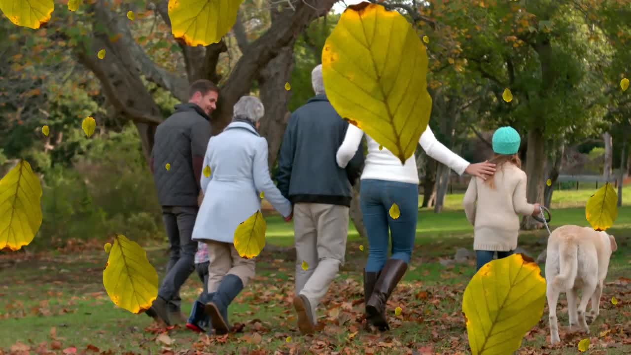 Animation of fall leaves falling over back view of multigeneration caucasian family in autumn park