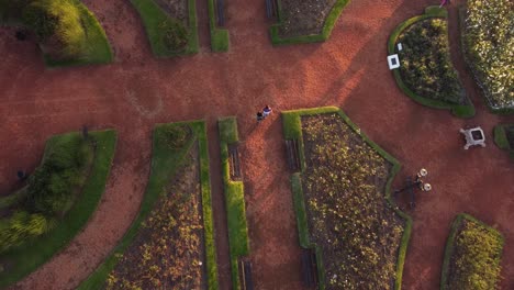 aerial top down shot of couple walking in rosedal of palermo park in buenos aires city during sunny day