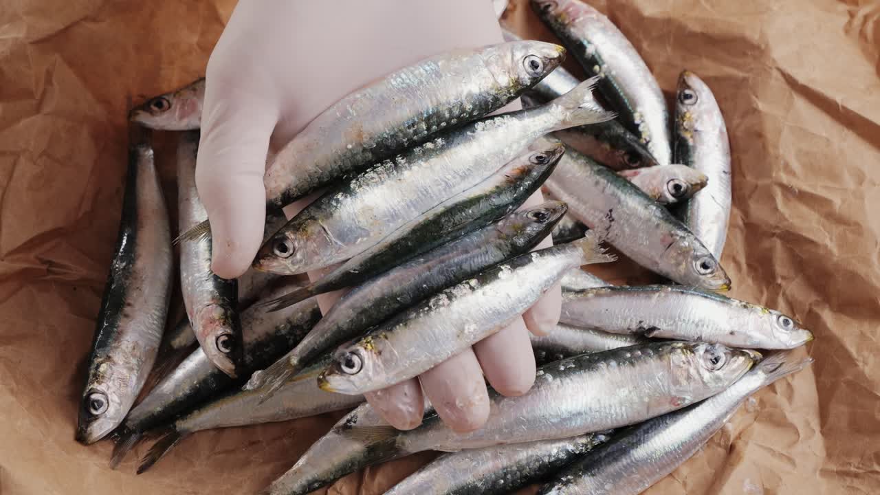 Hand holding fresh sardines on brown paper