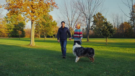 young carefree couple walking with a dog in the park