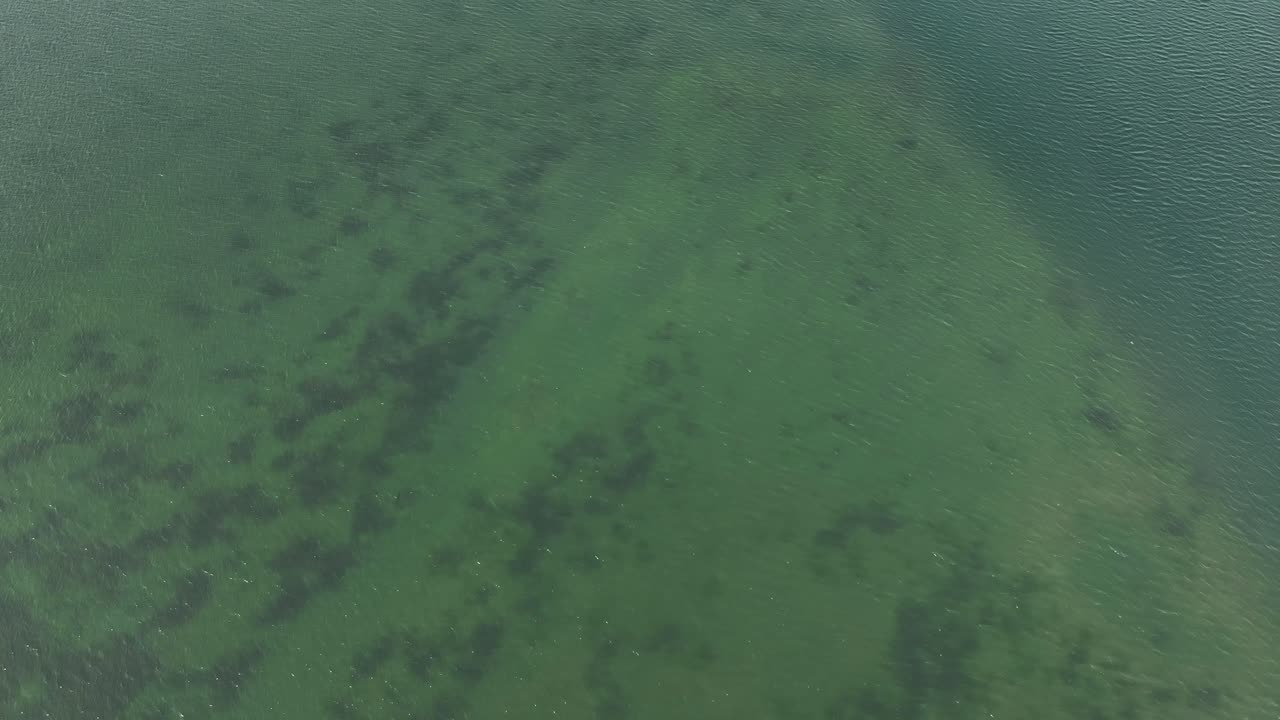 an aerial view shows San Diego's back bay terrain high spots