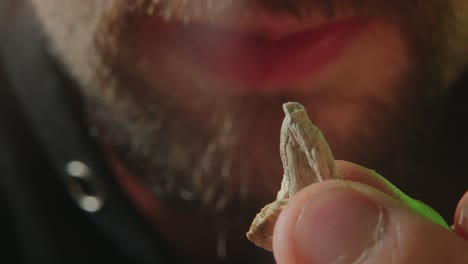 close up of the face of a man eating magic mushrooms