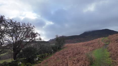 Sendero-De-Montaña-A-Las-Montañas-En-Un-Frío-Día-De-Invierno-Montañas-Comeragh-Waterford-Irlanda