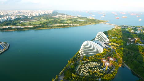 gardens by the bay, singapore - aerial view