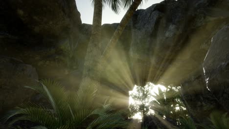 Big-Palms-in-Stone-Cave-with-Rays-of-Sunlight