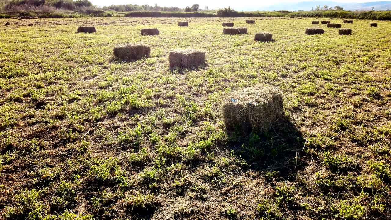 campo rural en verano con balas de heno