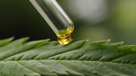 dropper with cbd or hemp oil dripping onto a cannabis leaf