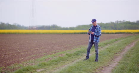 agriculture farmer examining crops and field adult farmer using digital tablet computer