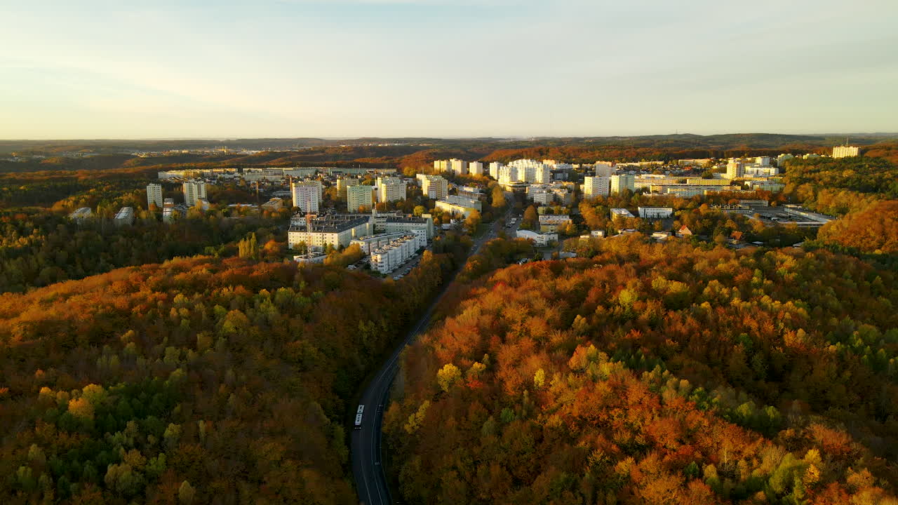 폴란드 북부 그디니아(gdynia) 시에서 일출 시 황금빛 노란색 나무가 있는 아름다운 가을 풍경
