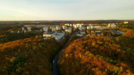 Beautiful-Autumn-Landscape-With-Golden-Yellow-Trees-At-Sunrise-In-Gdynia-City,-Northern-Poland