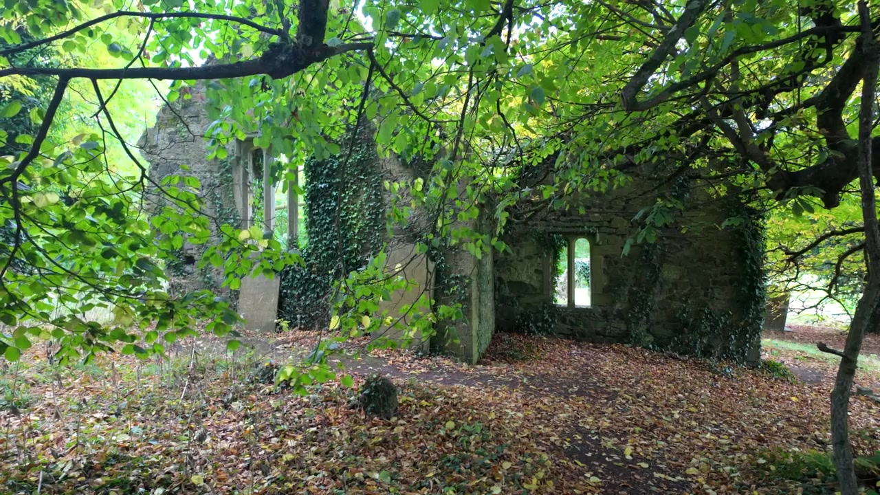 Luoghi epici dell'Irlanda infestata: chiesa spettrale abbandonata nella foresta, un luogo inquietante con un triste passato