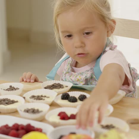 little girl reaching for berries on muffins