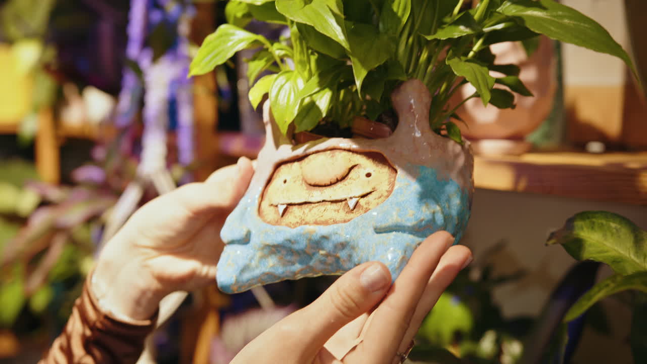 평화 릴리 식물 을 가진 귀여운 도자기 비 를 들고 있는 여자